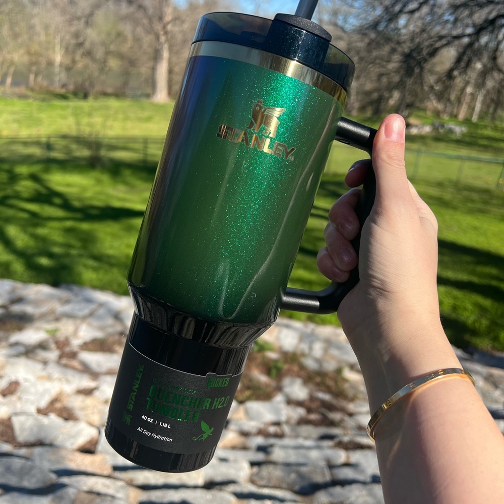 STANLEY WICKED ELPHABA 40 OZ TUMBLER
